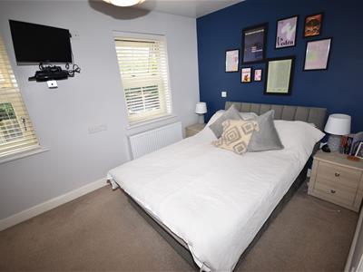 Picture 16